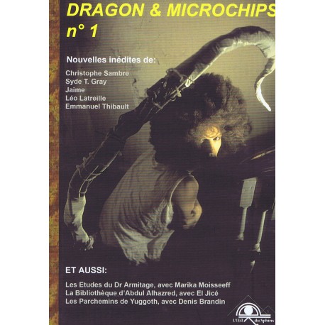 Dragon & Microchips N°01