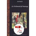 Ebook - Le Sultanat de Kazongo